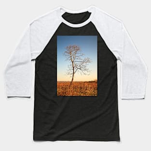 Lone Tree Silhouette Baseball T-Shirt